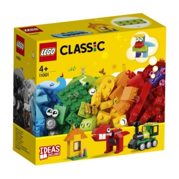LEGO®-Classic LEGO Bausteine - Erster Bauspaß (11001)